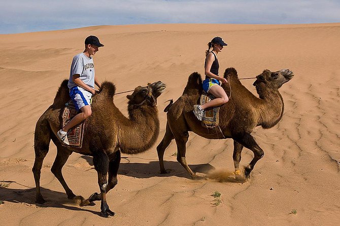 1 Day Semi-Gobi All-included tour - Key points to know before booking