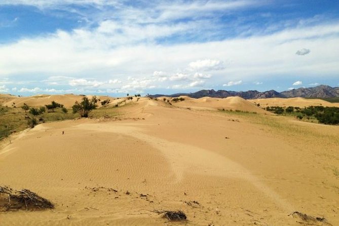 1 Day Semi-Gobi Tour Including Lunch And Free Camel +Bonus Khustai National Park - The included camel ride