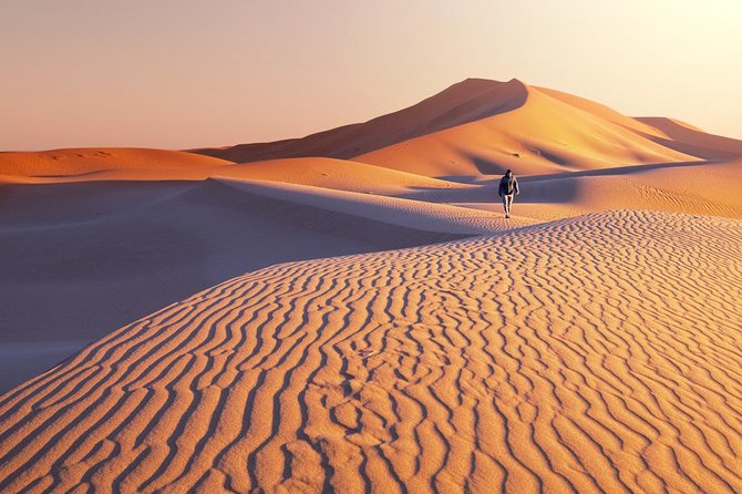 1 Day Semi-Gobi Tour with Lunch And Enjoying Camel or Horseback - Walking across the Elsen Tasarkhai dunes