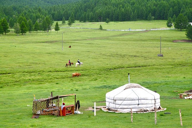 1 Day Tour: Khustai National Park - Hiking after the wildlife search