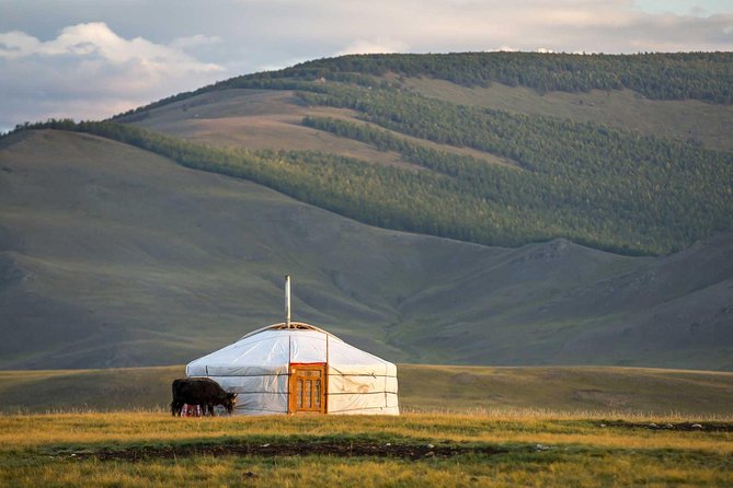 1 Day Tour: Khustai National Park - How to prepare for the day