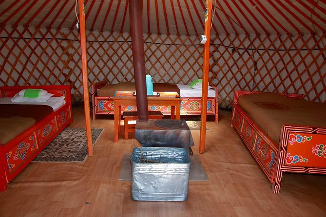 1 Day Tour: Khustai National Park - Searching for Takhi in Khustain Nuruu