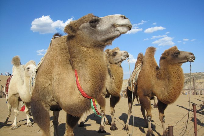 2 day Central Mongolia - Karakorum, the Mongol Empire Museum, and Erdene Zuu