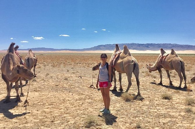 2D,1N Gobi desert and Old city Kharkhorum stay with Nomadic family - One night in a nomadic family’s ger