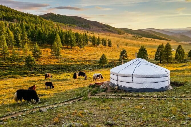 3 Day Mongolia Getaway tour Private tour - Khustain Nuruu and the search for wild horses