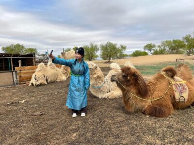 4 Day Best of Central Mongolia tour, Chinggis Khan statue
