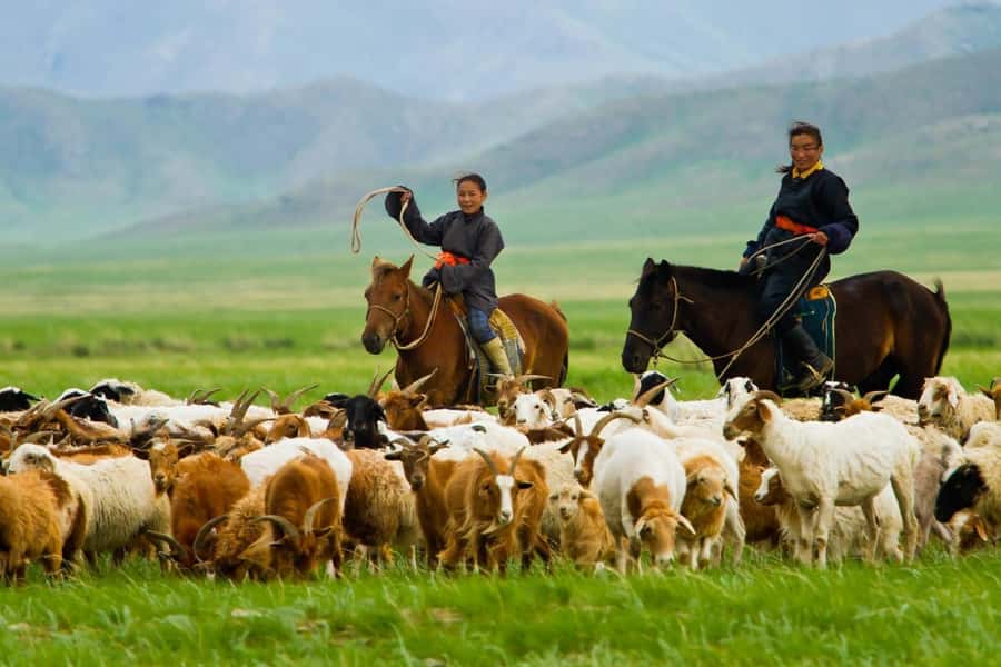 4 Day Central Mongolia - Day 3: A quieter afternoon at Ugii Lake