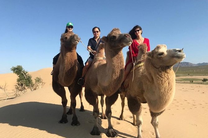 4 Days-The Best of Mongolia Collection tour - Why this four-day Mongolia route works