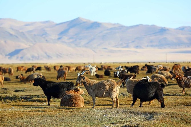 4 Days Tour: Central Mongolia - Day 1: Kharkhorum and the memory of an empire
