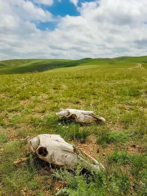 5 day Central Mongolia and Nomad stay tour - What to pack for ger stays and long drives