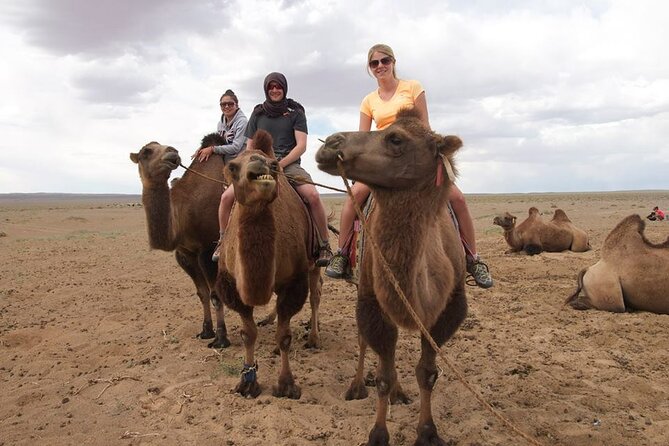 8 Day Great Gobi and Central Mongolia - Why this route works in only eight days