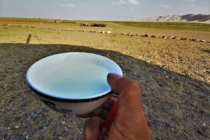 8 Day Great Gobi and Central Mongolia - Day 3: Khongoriin Els and the singing dunes