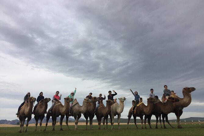 8 Day Great Gobi and Central Mongolia - Day 7: Erdene Zuu Monastery and Kharkhorin