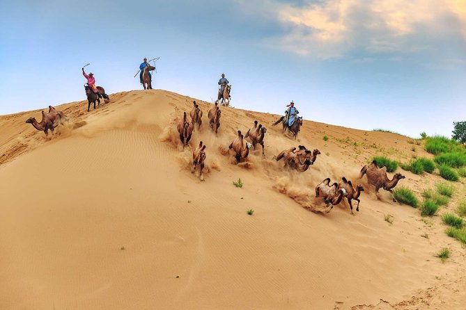 8 Days Tour: Gobi Desert And Kharkhorin - A broad Gobi route, not just a desert photo stop
