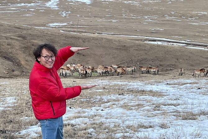 Authentic Mongolian two days tours in Terelj & Khustai National P - Key points to know before you book