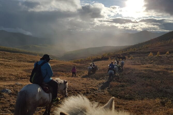 Authentic Mongolian two days tours in Terelj & Khustai National P - Wildlife watching at Khustain Nuruu