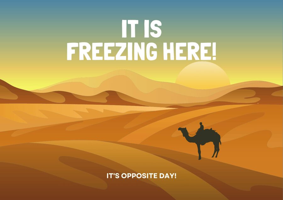 Best 6-Day Gobi Tour Discover Mongolia - Day 3: Two hours on a camel at Khongor Sand Dunes