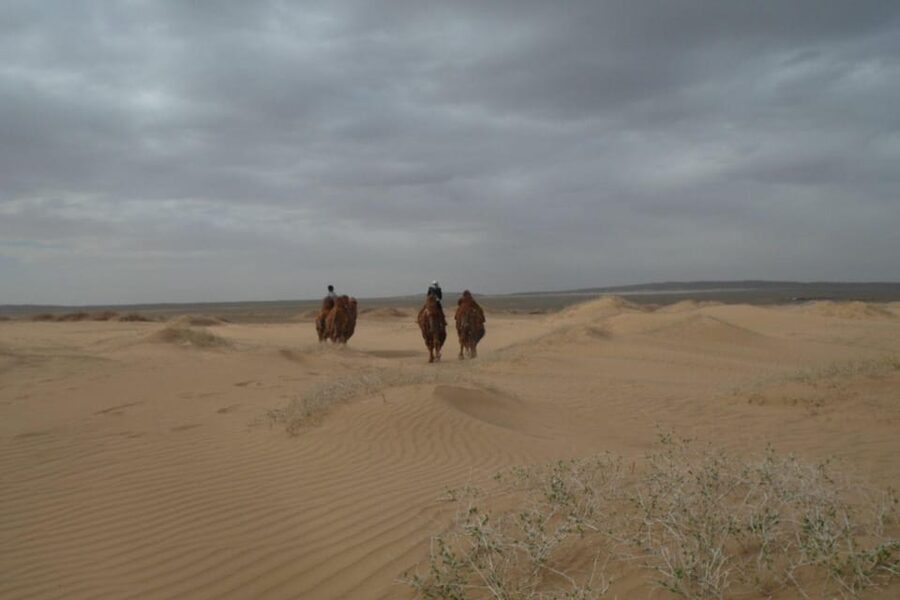 Best 6-Day Gobi Tour Discover Mongolia - Day 5: Tsagaan Suvarga and the route’s chalk-colored finale
