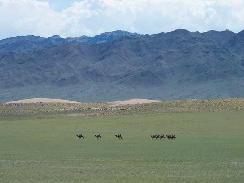 Bus tour to visit Gobi 4 day - What the strongest praise tells you