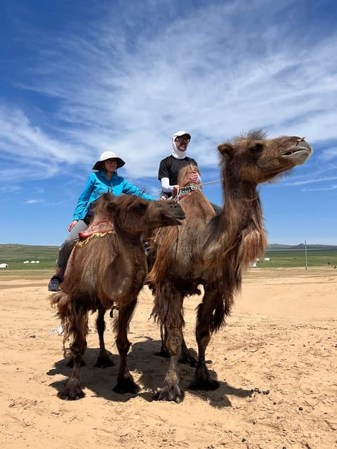 Camel Trails and Bird Tales: Discovering Elsen Tasarkhai - Camel riding through the Semi Gobi dunes