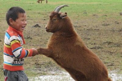 Essence of Mongolia 5 Days