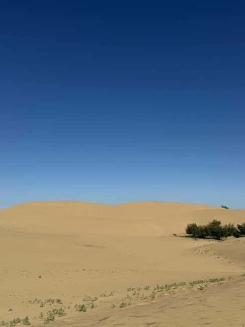 From UB: 2-Days Tour to Kharhorin and sand Semi Gobi - The choice between a Kharkhorin ger and a nomadic family