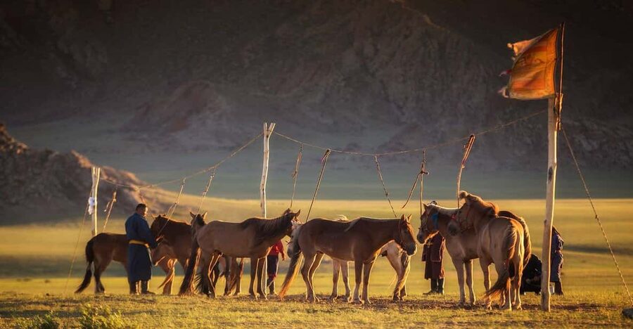 From Ulaanbaatar: Day Trip to Hustai National Park - A local lunch and a glimpse of ger life