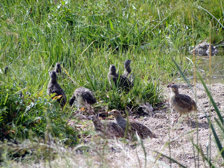 From Ulaanbaatar: Day Trip to Hustai National Park - Why the guide can make or break the day