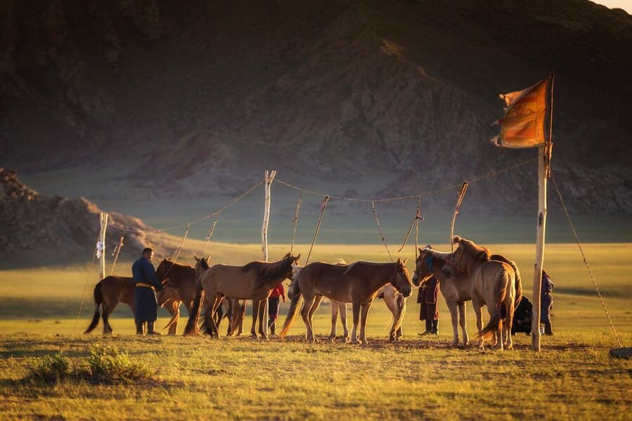 From Ulaanbaatar: Day Trip to Hustai National Park - Transport, comfort, and what to pack