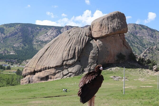 Full Day Chinggis Khaan Statue & Terelj NP Tour +Horseride, Eagle - Lunch and the one-hour horseback ride