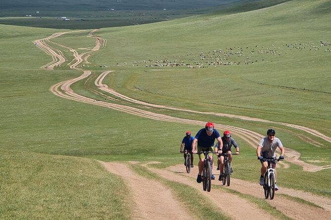 Full Day Mountain Biking Tour in Khan Khenty National Park - The first 12 kilometers: hills, gears, and a tea break