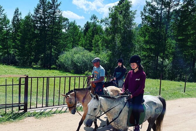 Full Day Private Tour in Terelj National Park with Horse Riding - Why this Terelj day trip works so well