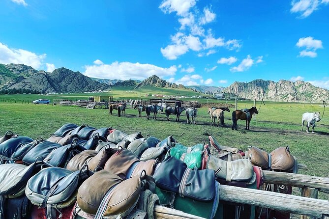 Full Day Private Tour in Terelj National Park with Horse Riding - Turtle Rock and the walk to Ariyabal Meditation Temple