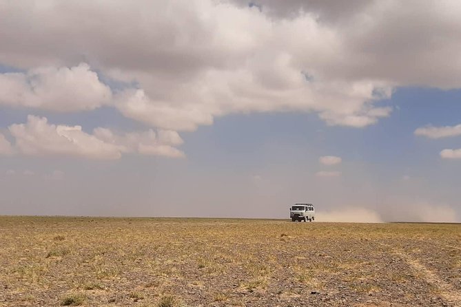 Gobi and Grassland Mongolia 7N8D - Day 2: The pale rock walls of Tsagaan Suvarga