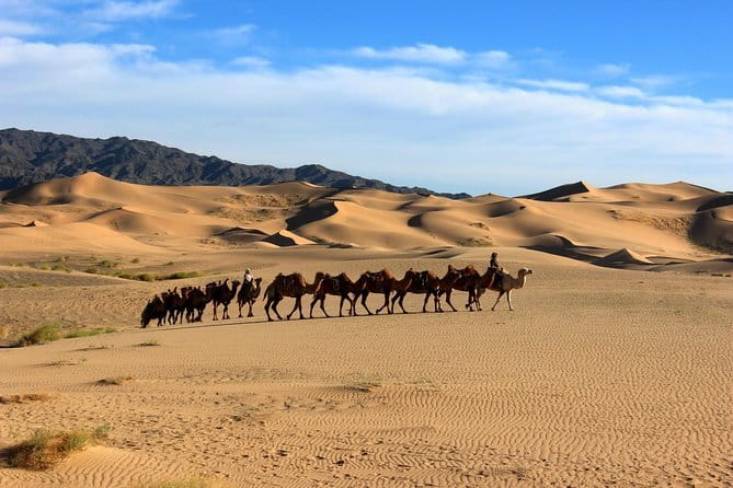 Gobi desert Mongolia for 8 days - What the $3,100 price really covers