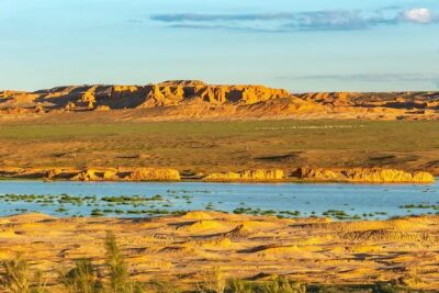 Gobi desert Mongolia for 8 days