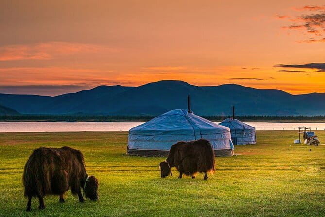 Mongolia - Sedan, Lexus, UAZ Minivan, 4WD Tour& Transport Service - Comfort, luggage, and rough-road reality