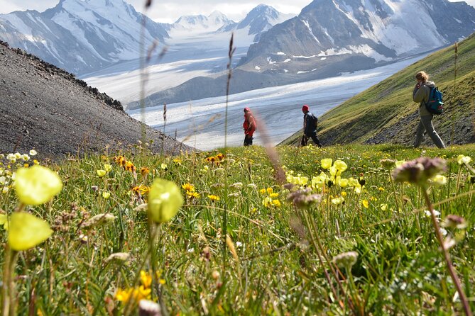 Mongolia Trekking Tour in the Altai Tavan Bogd National Park - Day 3: Malchin Peak and the Russia-Mongolia border
