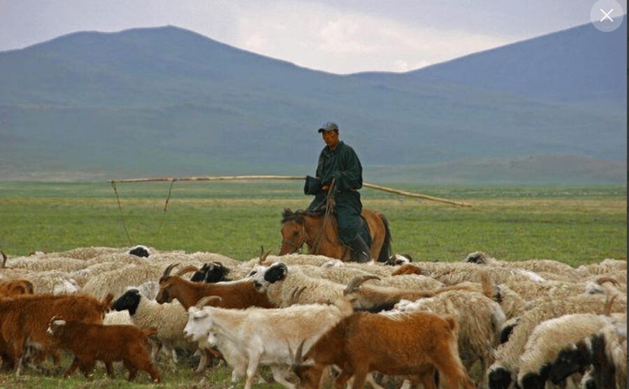 MONGOLIAN NOMADS: 2-Day Horse Trekking & Cow Milking Tour - Cow milking and dinner in the ger