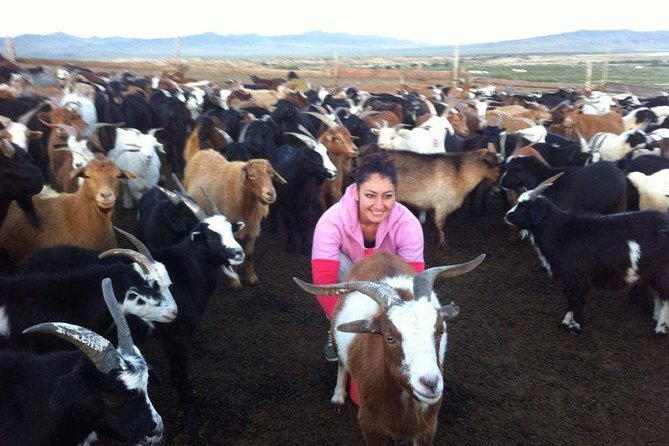 Overnight Semi-Gobi Tour with Nomadic HomeStay - Why the Semi-Gobi works for a short Mongolia trip