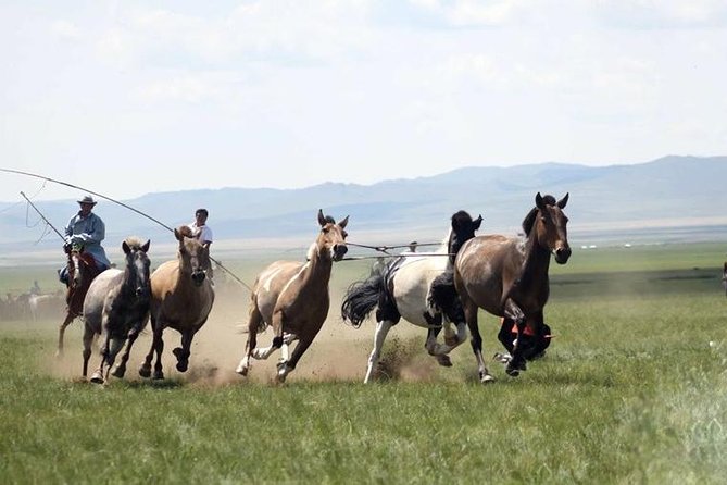 Overnight Semi-Gobi Tour with Nomadic HomeStay - Elsen Tasarkhai, where sand meets mountains and water