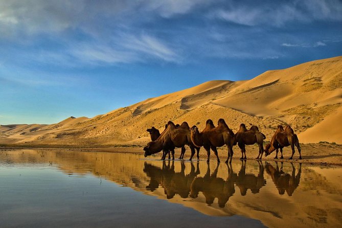 Overnight Semi-Gobi Tour with Nomadic HomeStay - Camel riding, with realistic expectations