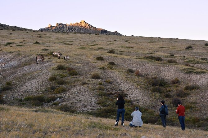 Private 3-Day Tour of National Parks From Ulaanbaatar - Guide, vehicle, and group size