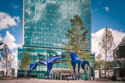 Private and Guided City Tour in Mongolia