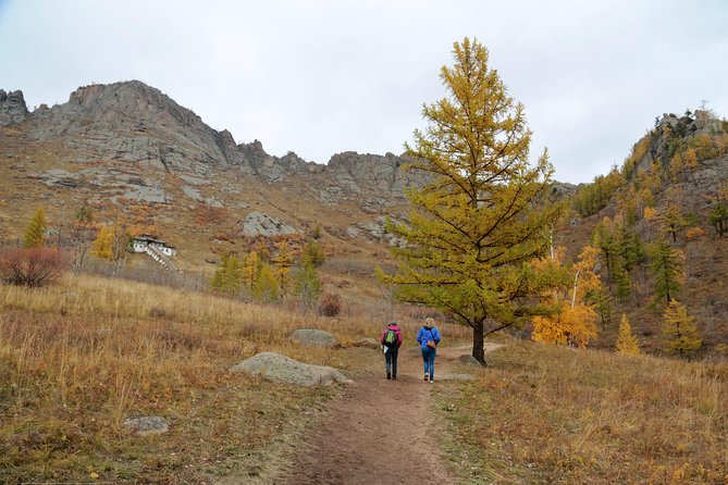 Private Day Tour: Terelj National Park and Genghis Khan Statue - How the private setup affects the day