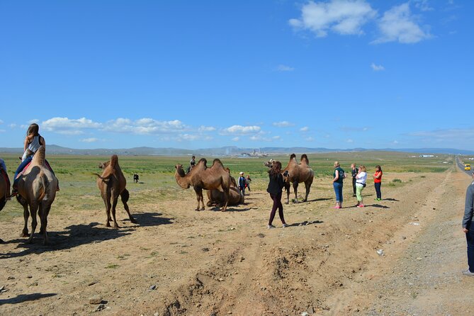 Private Day Tour: Terelj National Park + Genghis Khan's Statue .. - Turtle Rock, Terelj’s easy landmark