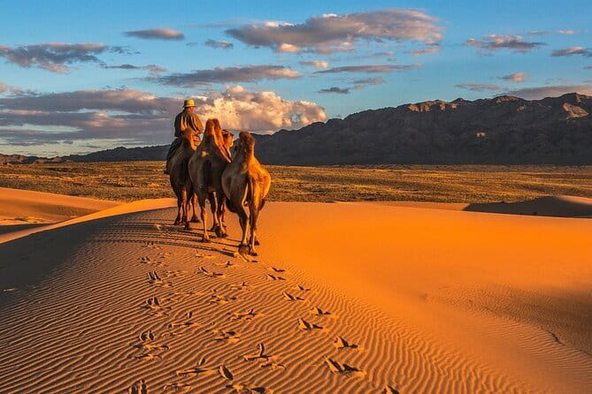 Semi-Gobi and Kharkhorum overnight private trip - Key points to know before booking