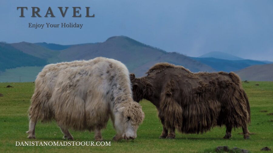 Terelj ,Khar khorum ,Horse ride , Camel ride , Monastery - The guide and driver matter on a fast schedule