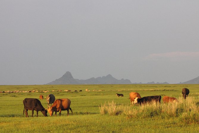 The Best of Central Mongolia Tour in 5 Days - Day three: a long run to Tsenkher Hot Springs