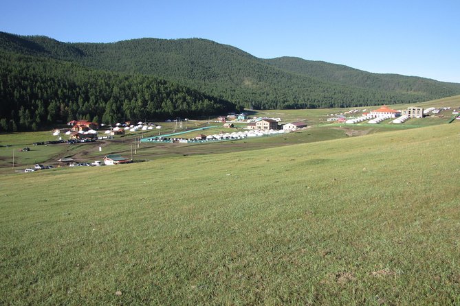 The Best of Central Mongolia Tour in 5 Days - Day five: searching for takhi at Hustai National Park